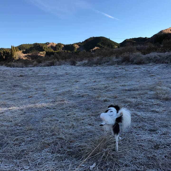 135f9ef1 9e34 4ed0 a9d5 e35549400a28