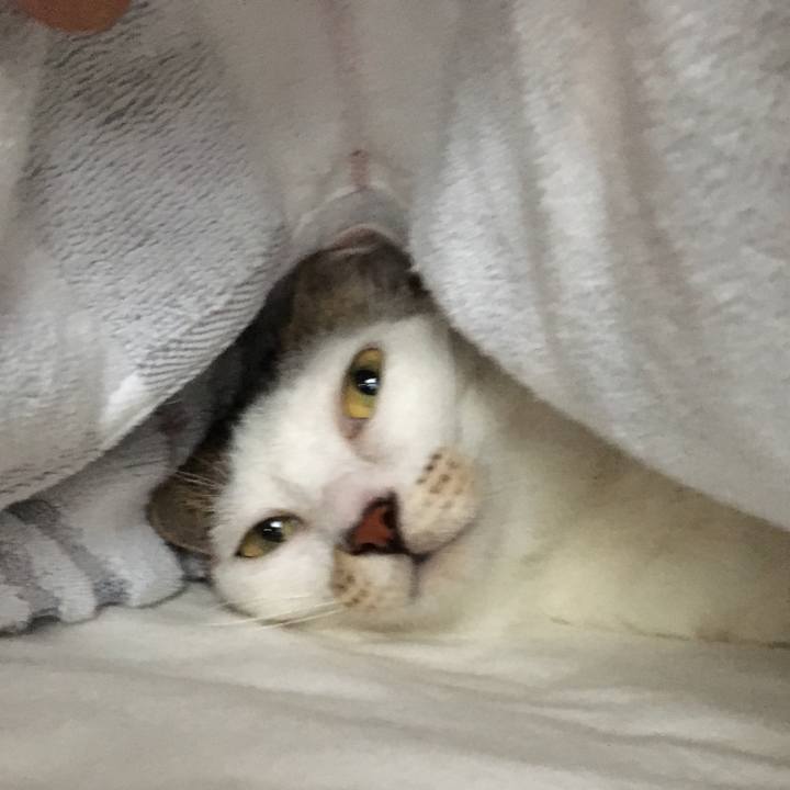 13602845 5edf 46d7 a2ae b8e3ae357b33