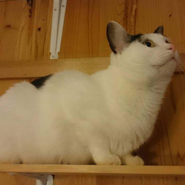 136194e3 7db4 4bd1 befc 77a8584d226a