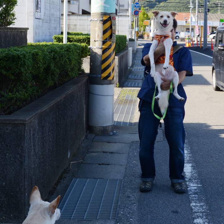 13629e49 3009 4a4c b6c1 3104bacf63df