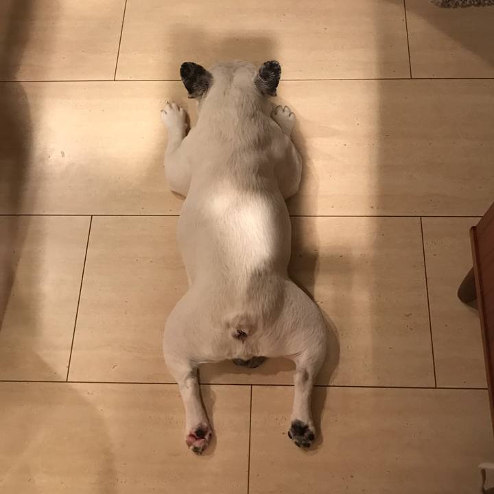 1362c81c 8374 4139 985f 7886140260f2