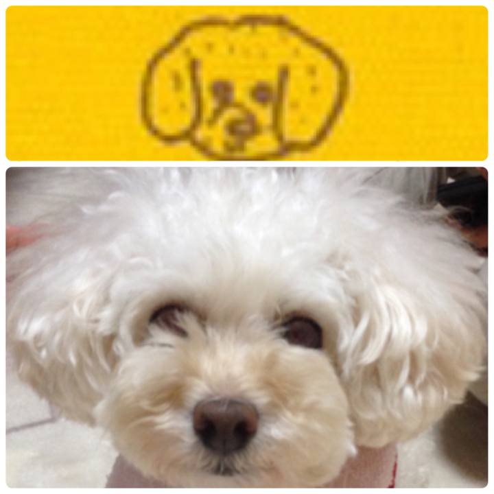 1363735f 4ced 4c6b bf58 c77f9ff5e183