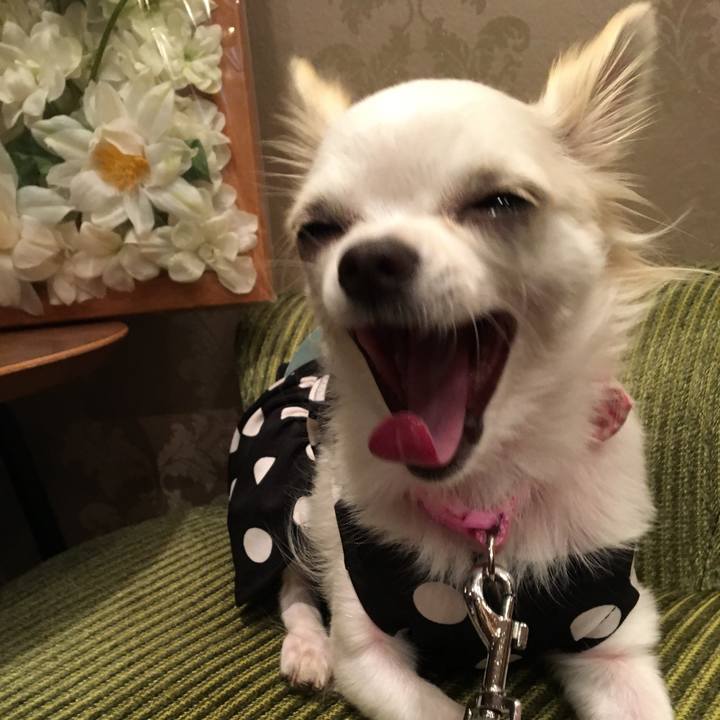 13639672 4689 4752 9ae0 073c2275cf32