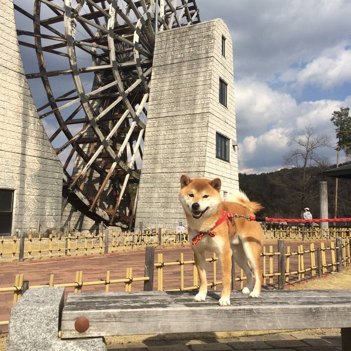 1363a098 50ba 4701 9bb9 263d7075066a