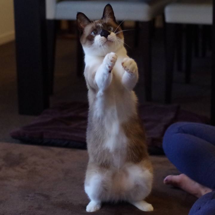 1363ce1a d883 4811 8cf4 e4c412ce088b