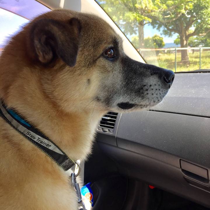 1363d2aa 6225 4992 90da ebe5985a47ff