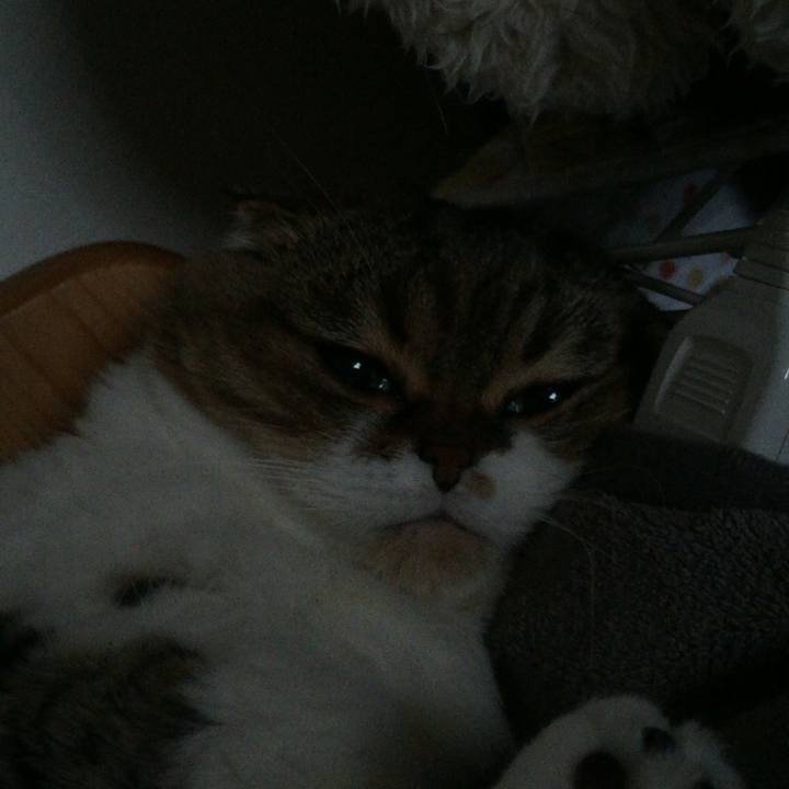 136439d3 27c3 460c b2f9 949d7a257f0f