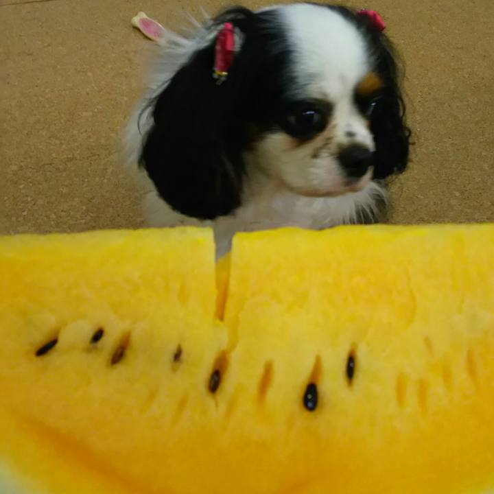 13655e4d 16ed 4cbb b693 71919ac272bf