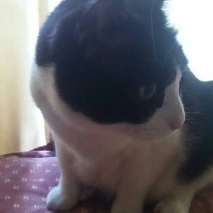 13655e52 402e 4da1 9ab0 ada931e99dc1