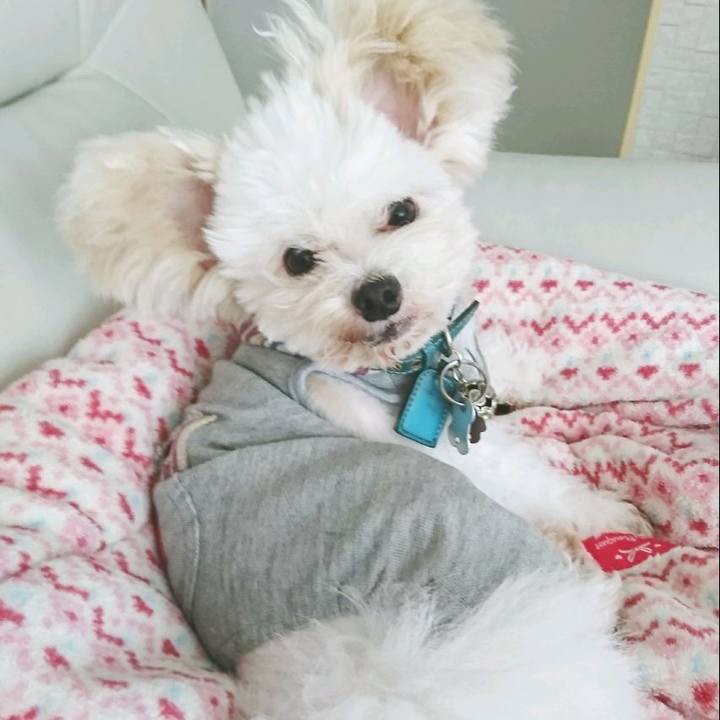 136574ee b4a0 4719 aba1 b872d030dc63