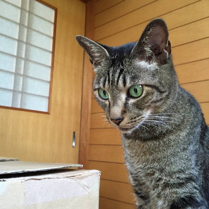 1365bc59 7ae2 47cc 898c 6a2d0add837e