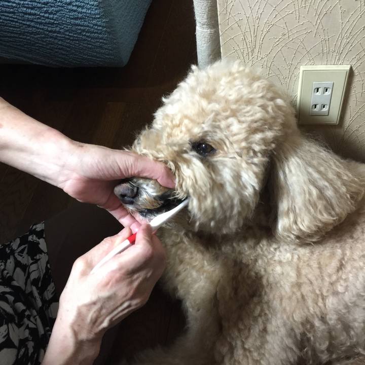 1366a9fa 4de6 40a7 a7c7 e60fa314745f