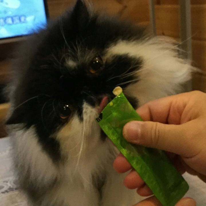 13675d7d 4638 45cf b3f1 2ecc795905d2