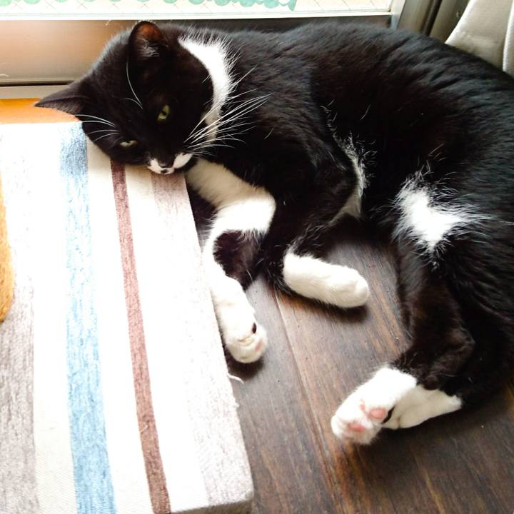 13676afd 67f2 4596 8ff7 fb41f75febe2