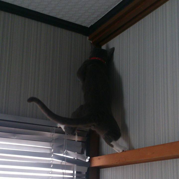 136792a2 4405 4562 ac39 92f52b50911f