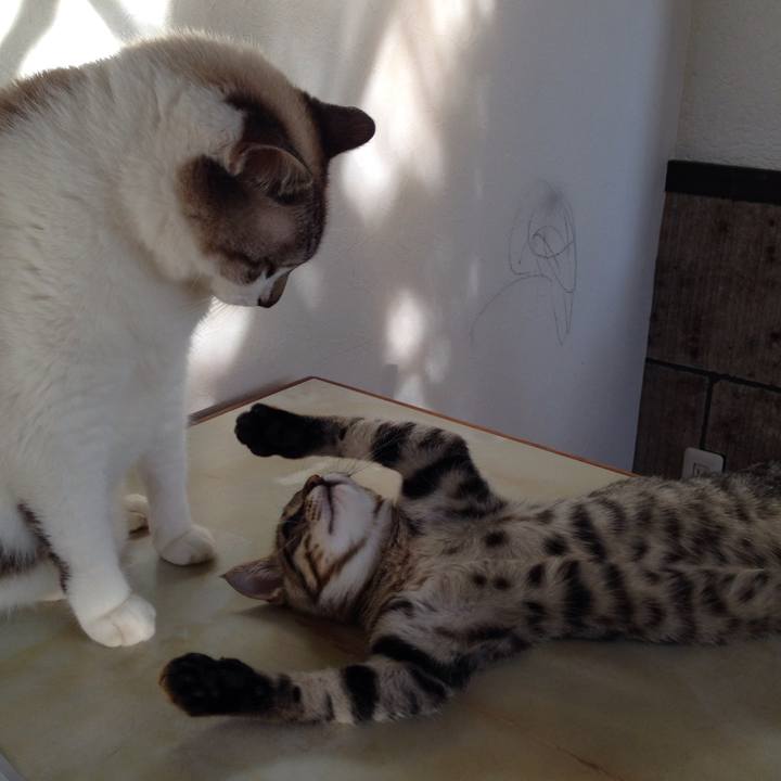 1368690b f6bb 4e4c 9f8d 23652db3c1cb