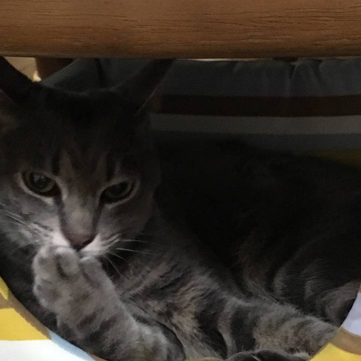 13686b6d 7758 4ab0 9284 8d1522aa9414