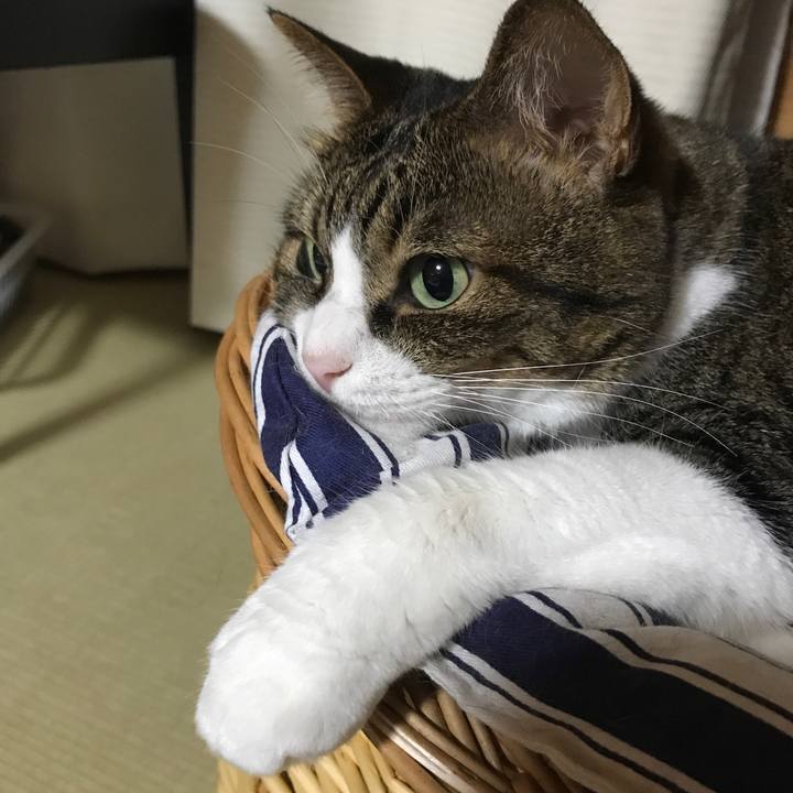 13687812 6c00 44c5 934f 8755e720414e