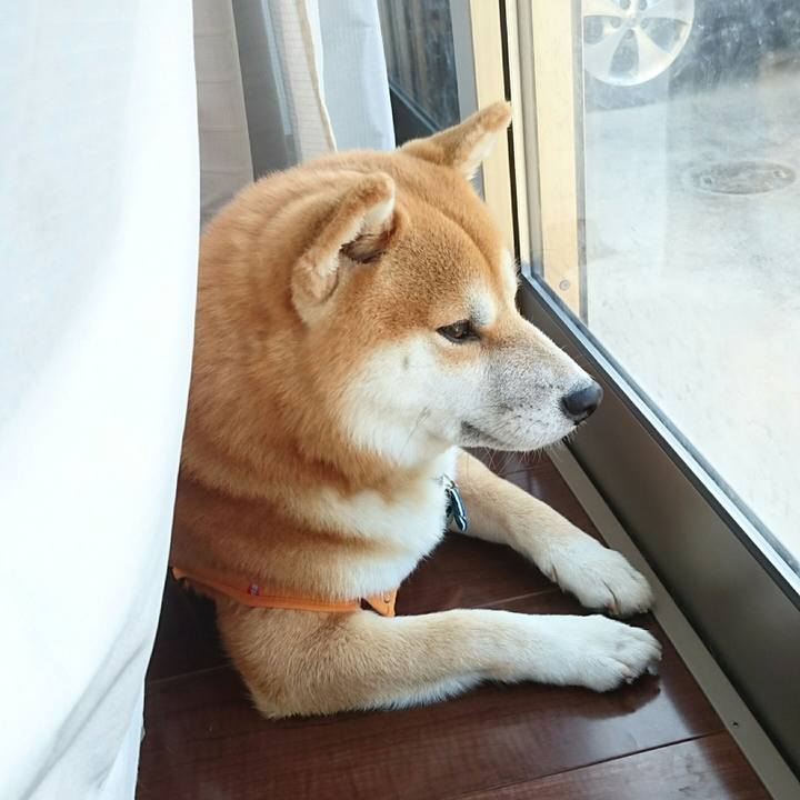 1368cd7a bd41 44da 809c 958679890f79