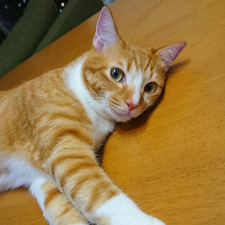 13695bce 1f2e 4b4a b694 74288aad770d