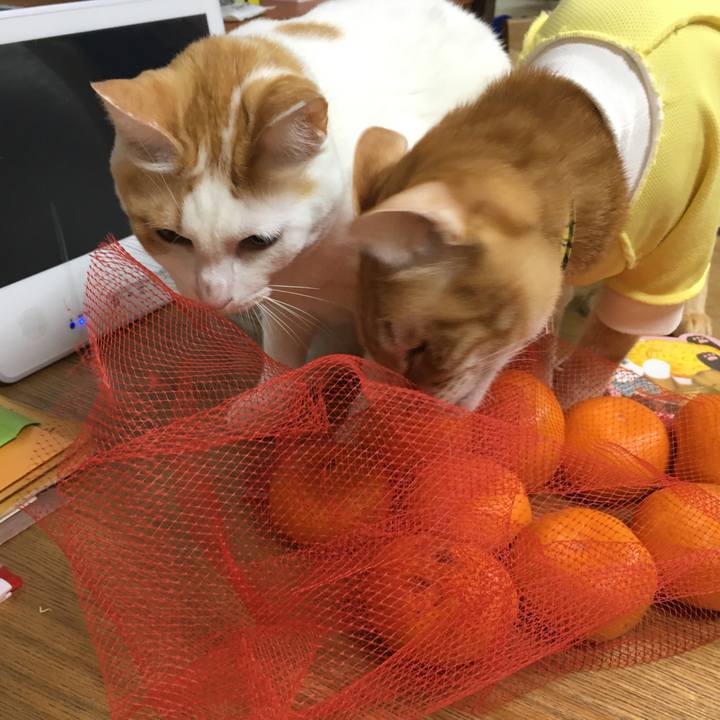 136af3ea 8025 4e81 aad7 df655920f862