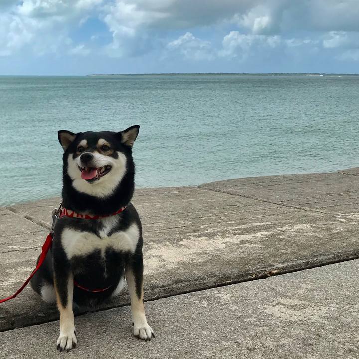 136afc48 9cd9 439d 907d 07d9b9c9a38b