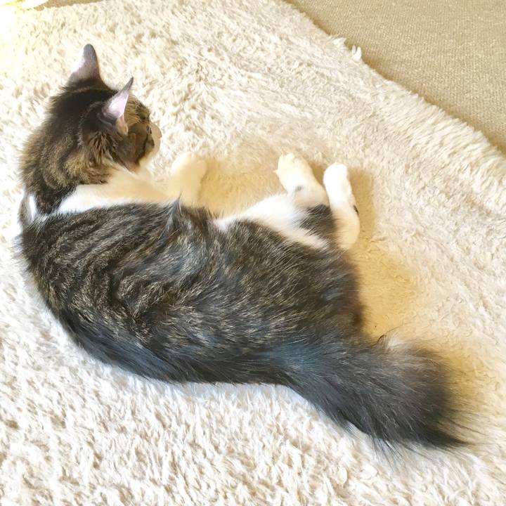 136b1de6 c757 4250 a1bb c60f67a2044c