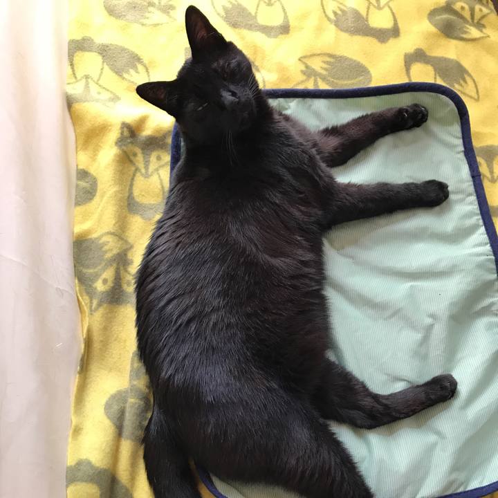 136b3e7b cec3 469e b50f 3d6cbe6099bf