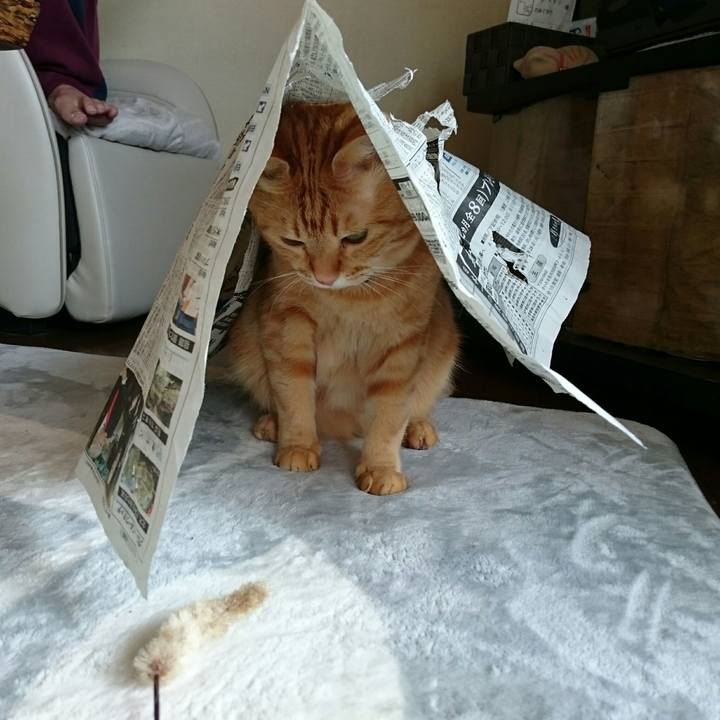 136b7147 e2dd 4ceb 8f60 31f107d96839