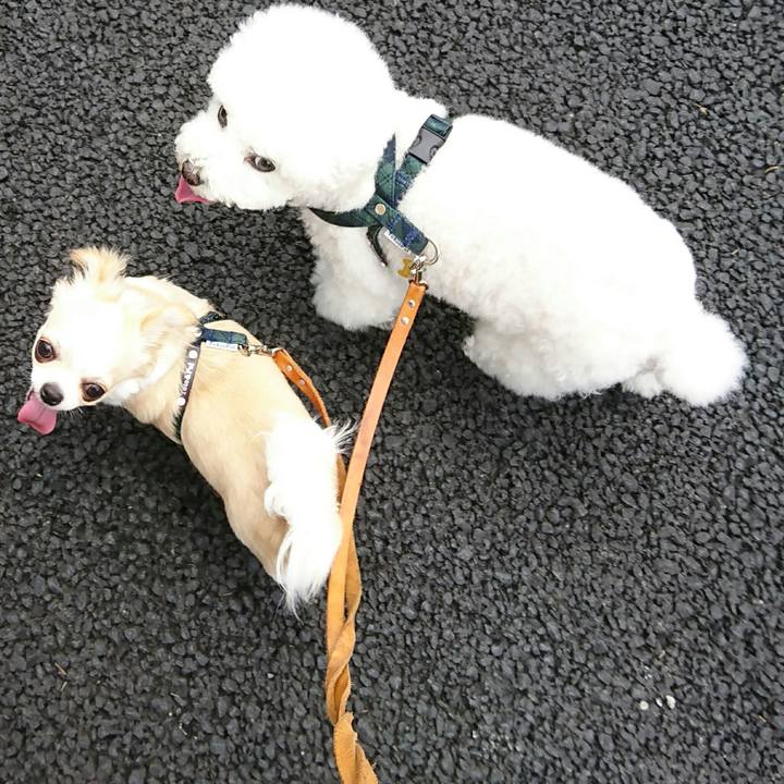 136c239f 0dc1 45c1 9762 eb87f469192b