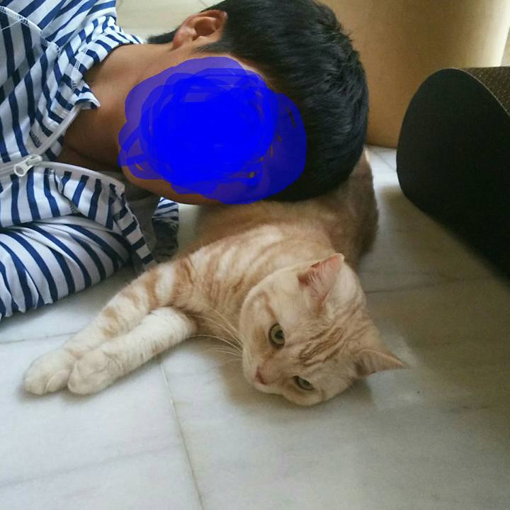 136cfc11 7b8e 473a 9d6f e40b4d0d7f25