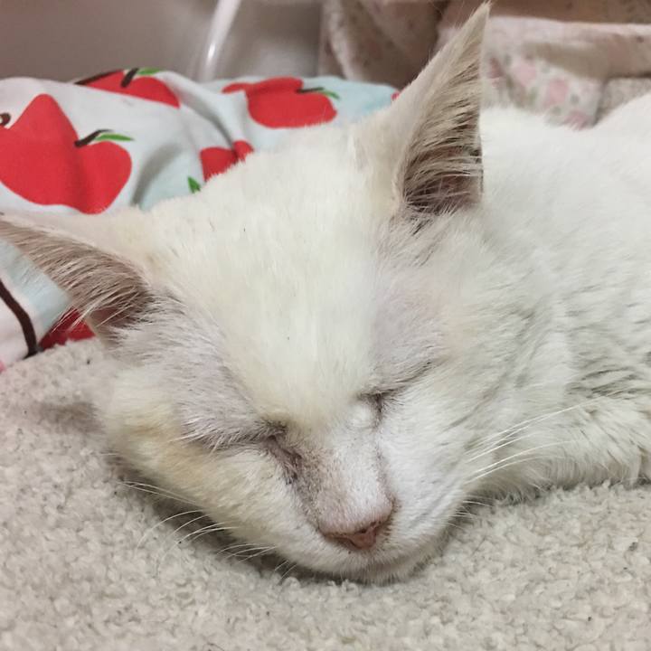 136d14ed aa94 40ae 9b91 dea3d6c572fd