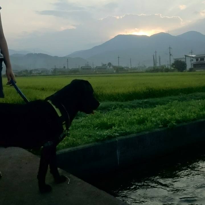 136d3316 8067 48da 93fa 8015c518d08e