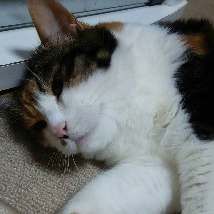 136e348c adf5 4a57 9f66 d347a998f6c8