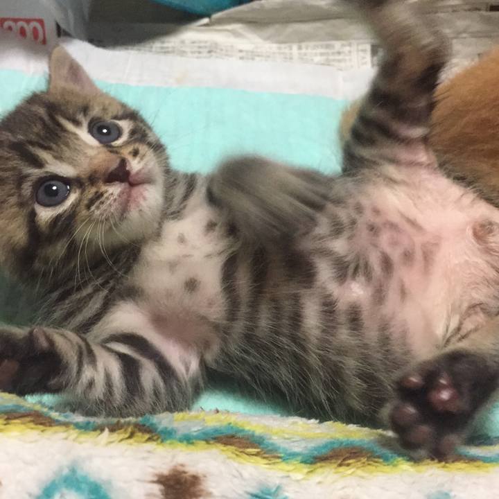 136eb59d 831f 4ccc 9757 f5859d5a53c2