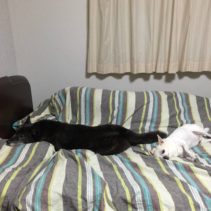 1370a930 75c6 4b1e 9bdc ef2800bf121f