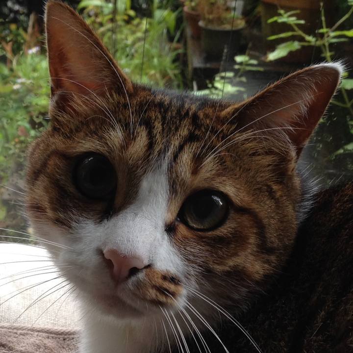 1371cb62 258b 49da 8e50 393ff482c602