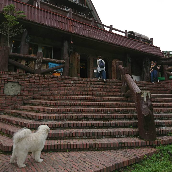 137267d2 9b1f 47d9 9892 15f159799559