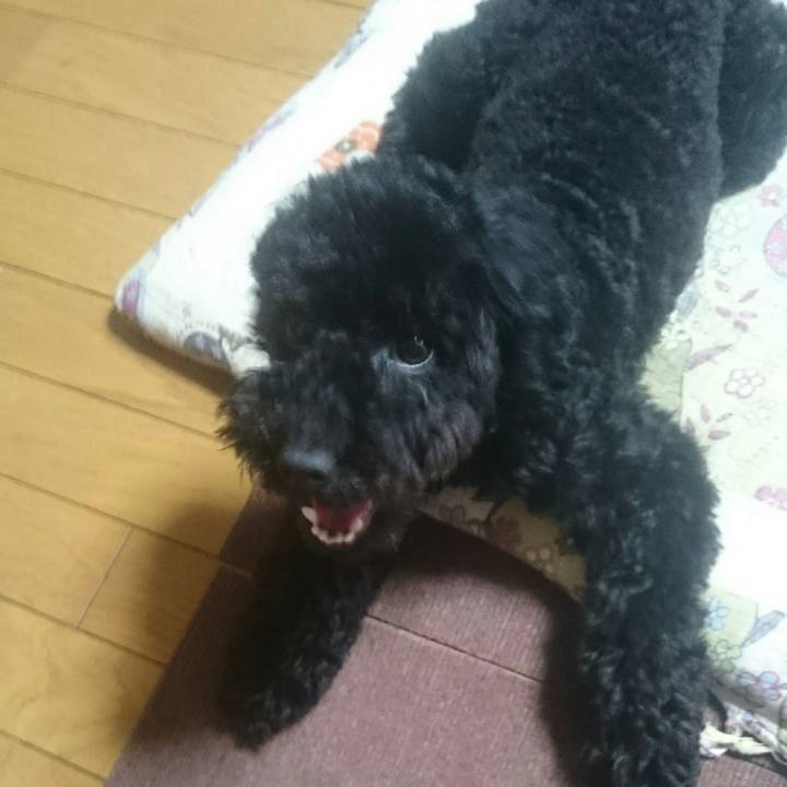 137459e6 f567 4ffe 8b64 dbcddfdf5d28