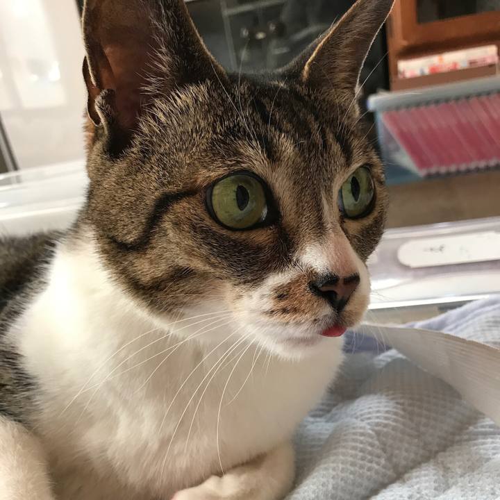 13748e19 7f9d 4cbd a397 e2e3274baaaf