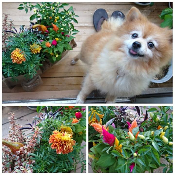 1374b20e 270b 4220 9948 d4279e7fe956