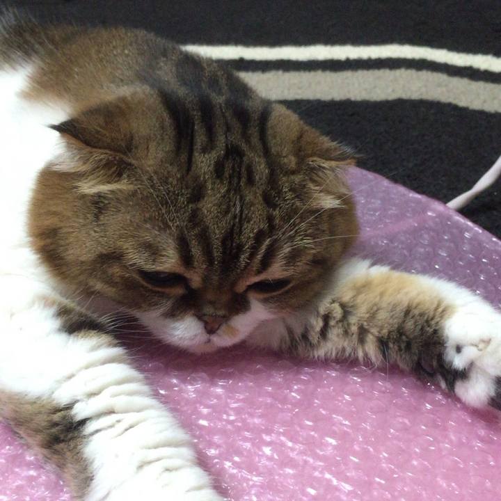 1374fe3d 7976 4408 a1cf e114ca0e035b