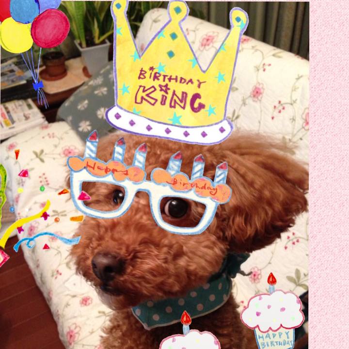 1375d38f afea 40da a845 02da58dcd4ea