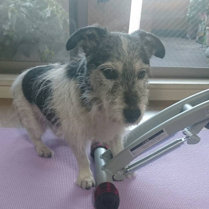 1375e9d5 7501 4d7f bf83 957e394d3c31