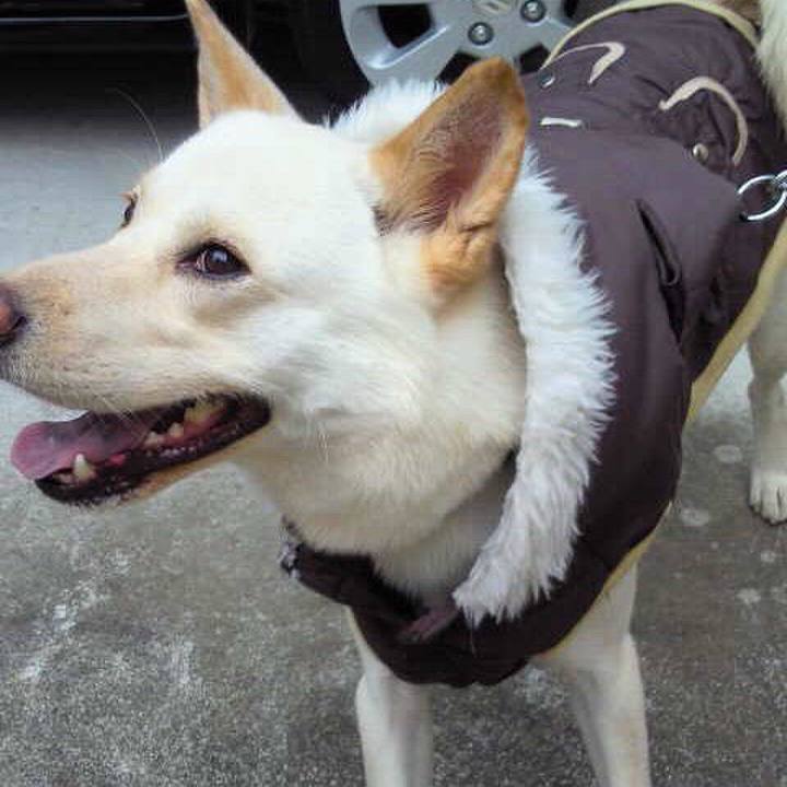 1376728d 0cad 4ea4 8697 ec18d0bac792