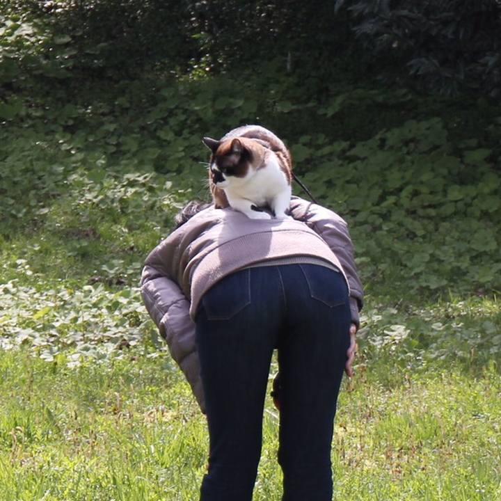 1377ef3a fdb4 4841 bb5c 8eb0e57c54c1