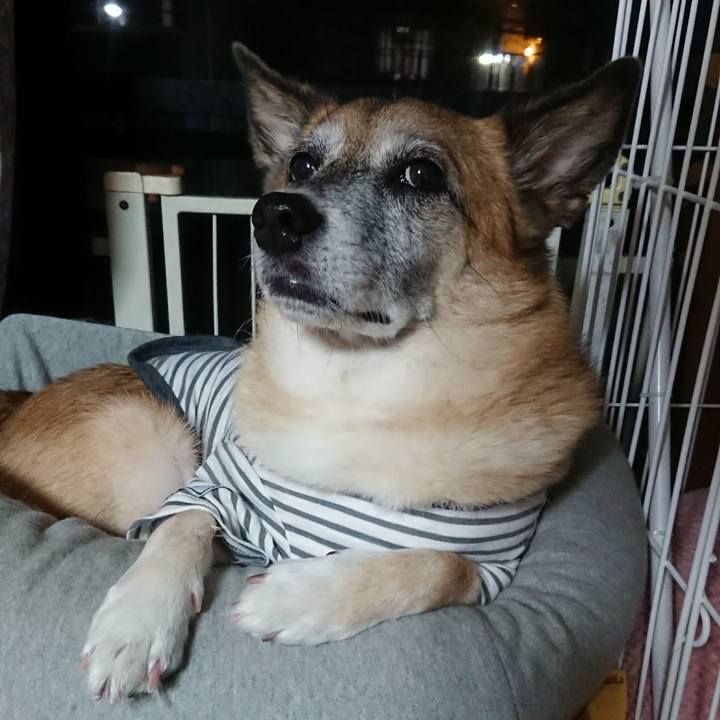 13784844 6329 41dc 8e5e 8bef9c4b64ca