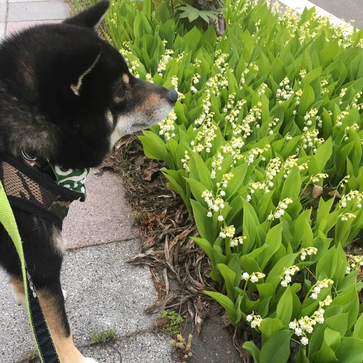 137857fd edd1 4e60 864a 290abd869d28