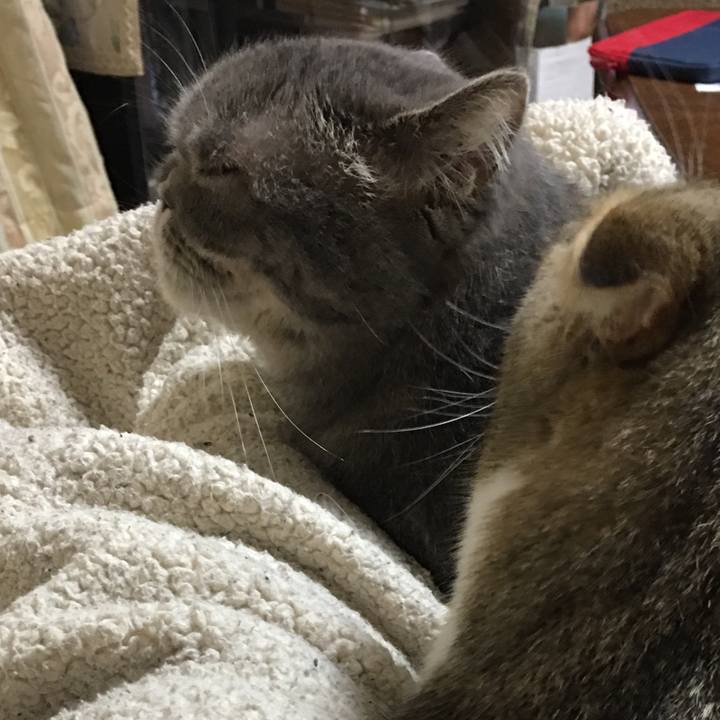 1378b52a ddcb 448e 8040 43e8dbbc5407