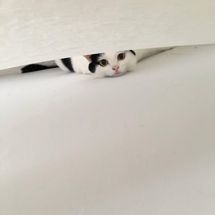 1378ecf3 f1e3 4446 95d7 2573c9f76f73